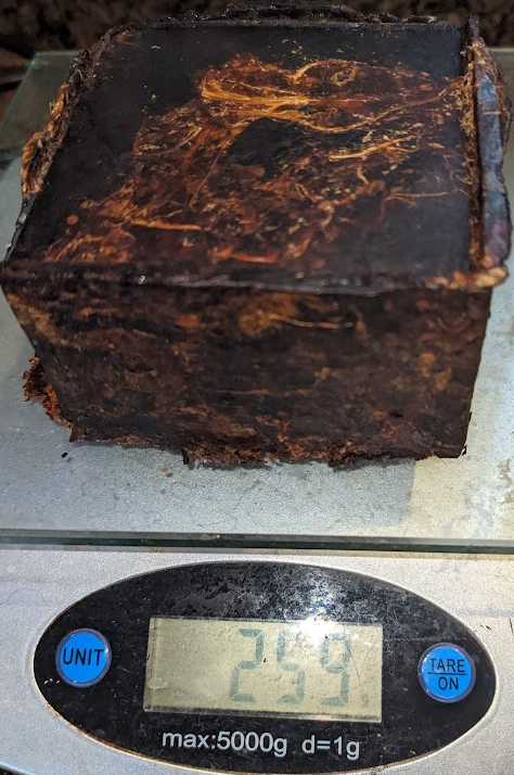 1st whole leaf tobacco plug from hydraulic press